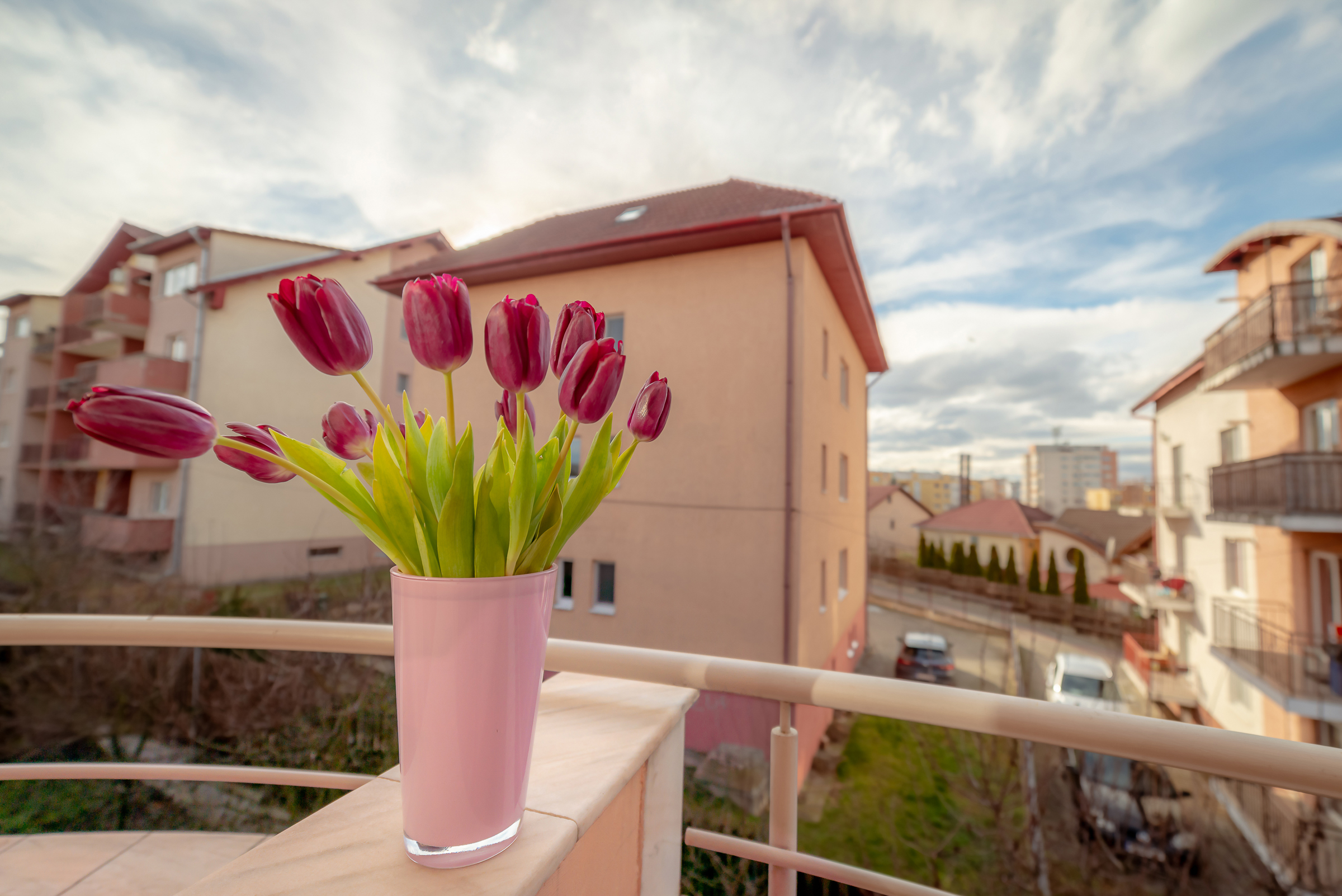 Camera Dubla Standard | PensiuneaCluj.ro